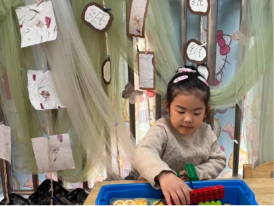 5024a2c39b124e5ebe3054e84db27d6a_IMG_256