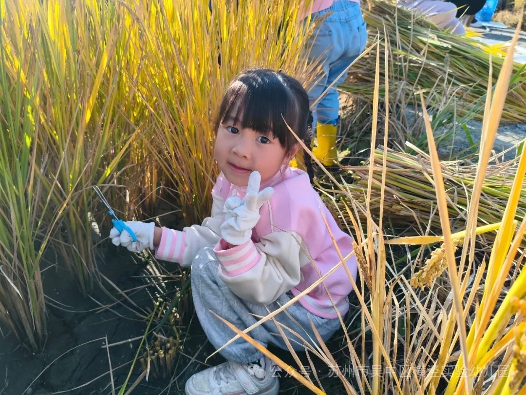 mmexport1767770996014