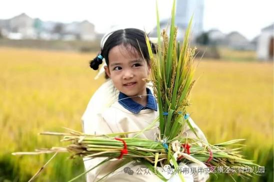 e05f61f98b9d5462fcd0e0273bce098a