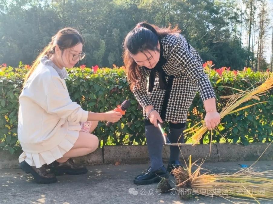 C:/Users/Administrator/Desktop/mmexport1767770851489.jpgmmexport1767770851489