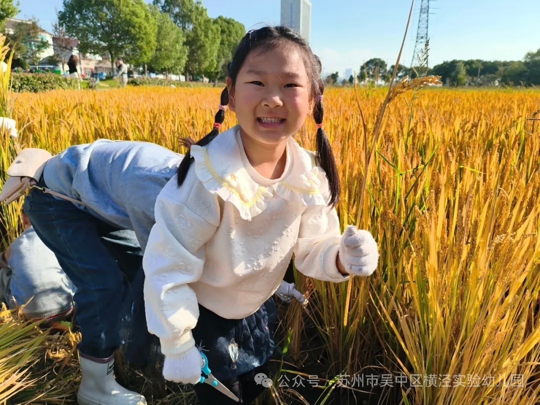 C:/Users/Administrator/Desktop/mmexport1767770992801.jpgmmexport1767770992801